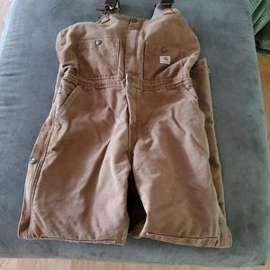 Carhartt Insulated Bib Overalls